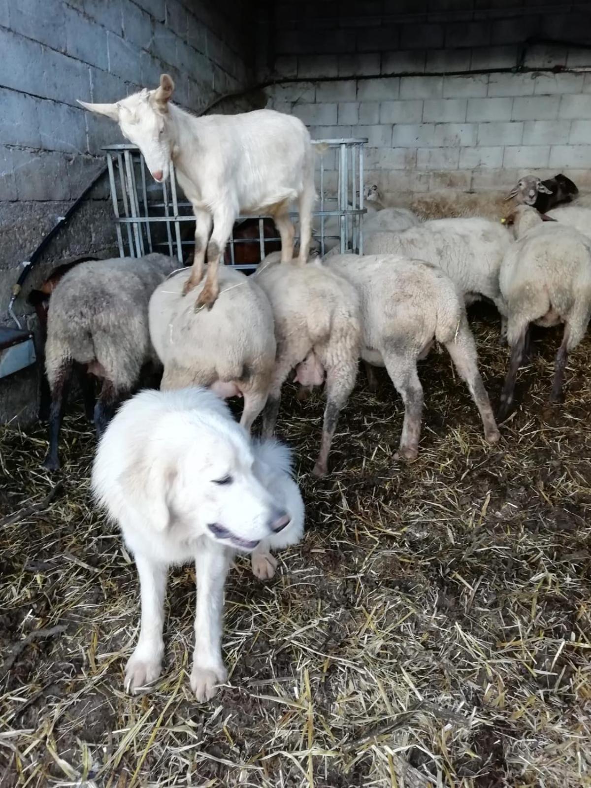 Agriturismo Casa Della Nonna Mormanno Kültér fotó