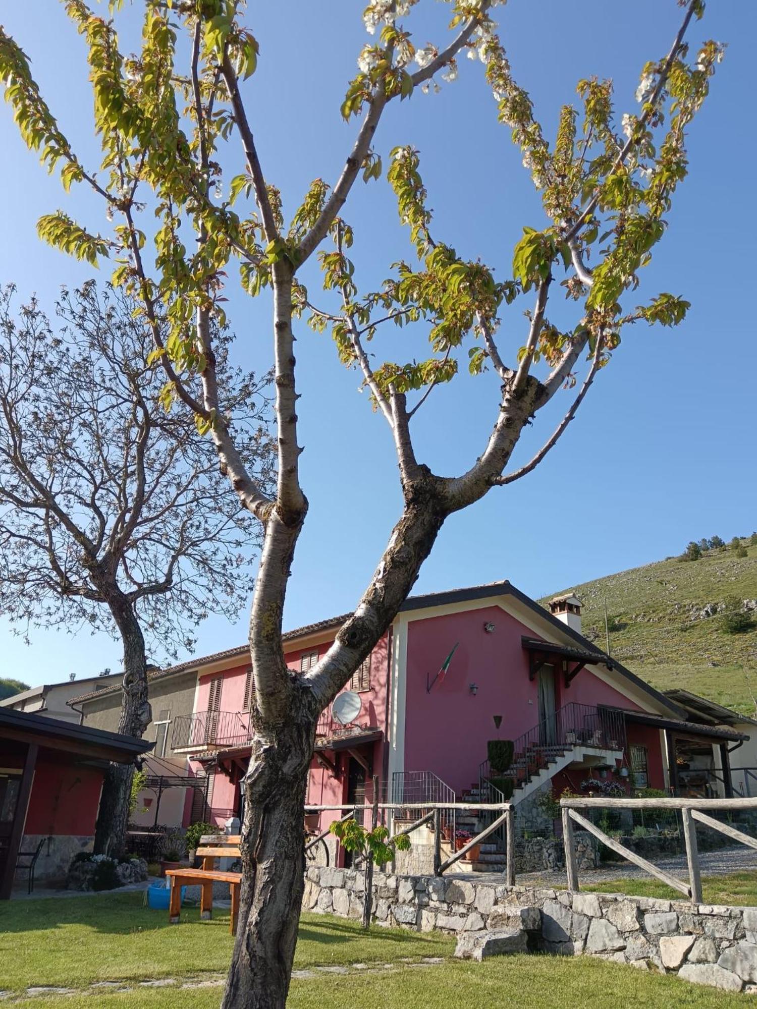 Agriturismo Casa Della Nonna Mormanno Kültér fotó