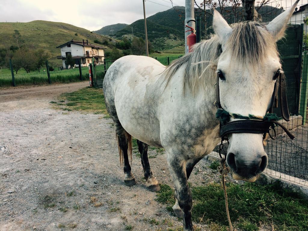 Agriturismo Casa Della Nonna Mormanno Kültér fotó