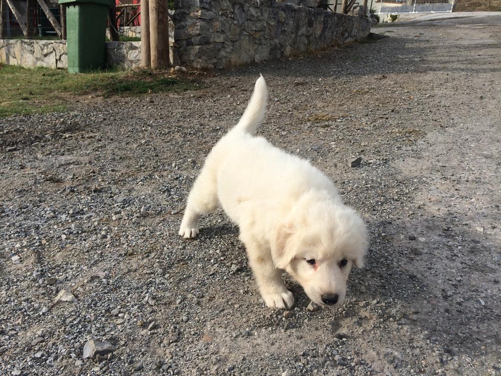 Agriturismo Casa Della Nonna Mormanno Kültér fotó
